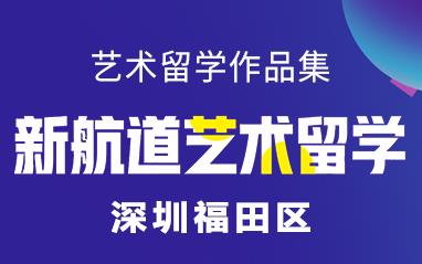 深圳福田区自费出国留学中介服务解析 以新航道前程留学为例